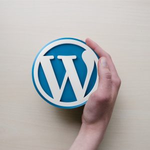 WordPress by Trainer Punit