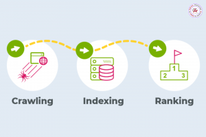 Ranking | Indexing | Crawling